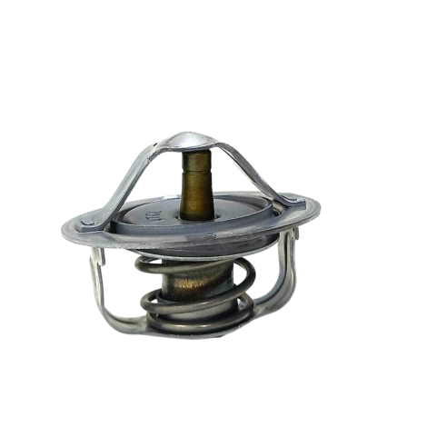 Válvula Termostática Kawasaki Ninja Zx10 R Ano 2020 Original