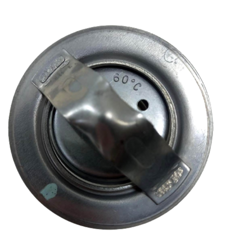 Válvula Termostática Kawasaki Ninja Zx10 R Ano 2020 Original