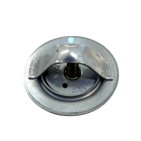 Válvula Termostática Kawasaki Ninja Zx10 R Ano 2020 Original