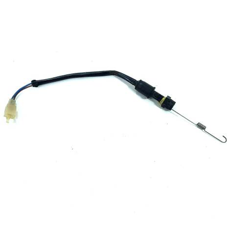 Interruptor Freio Traseiro Kawasaki Z750 Ano 2010 Original