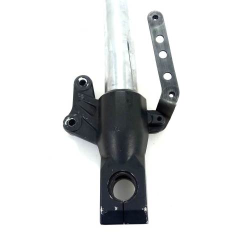 Bota Bengala Marca Kawasaki Modelo Z750 Ano 2010 Original