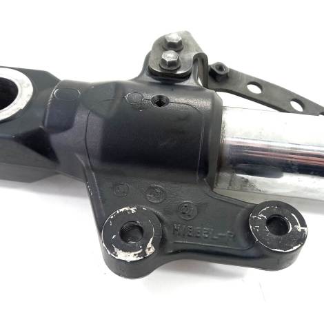 Bota Bengala Marca Kawasaki Modelo Z750 Ano 2010 Original