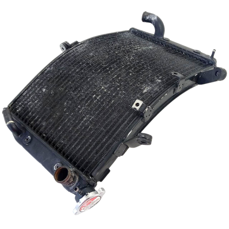 Radiador Água Marca Yamaha Modelo YZF R1 Ano 2005 Original