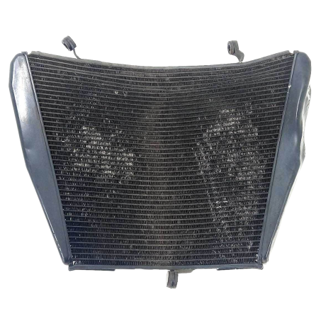 Radiador Água P/ Recuperar Honda CBR 1000 RR Ano 2011 Origi 