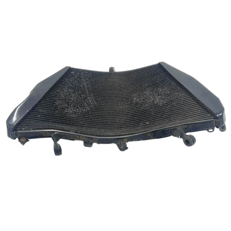 Radiador Água P/ Recuperar Honda CBR 1000 RR Ano 2011 Origi 