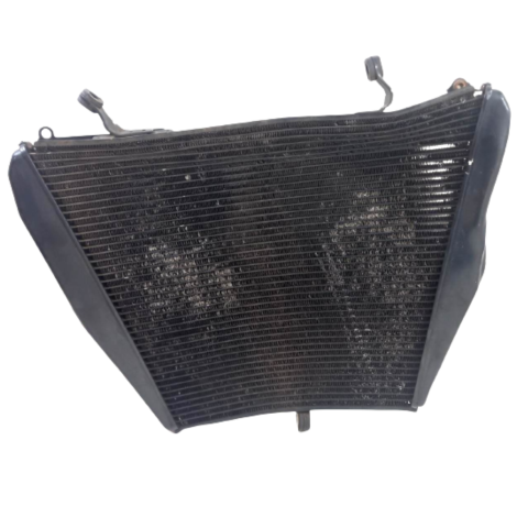 Radiador Água P/ Recuperar Honda CBR 1000 RR Ano 2011 Origi 