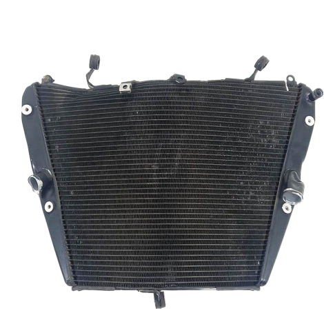 Radiador Água P/ Recuperar Honda CBR 1000 RR Ano 2011 Origi 