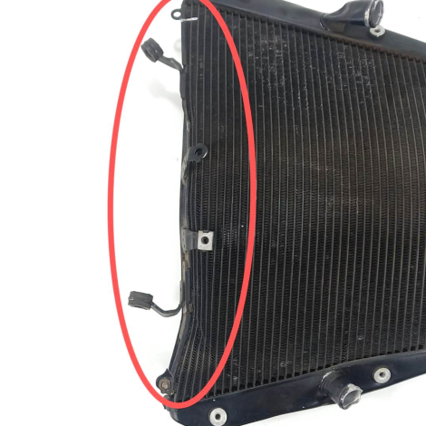 Radiador Água P/ Recuperar Honda CBR 1000 RR Ano 2011 Origi 