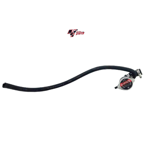 Bocal Radiador Honda CBR 1000 RR Fireblade Ano 2008 Original