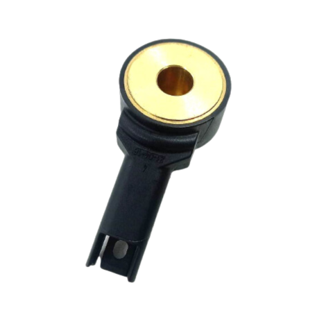 Sensor Detonação Cabeçote BMW S1000 RR Ano 2022 Original