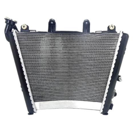 Radiador Água BMW Modelo S1000 RR Ano 2022 Original AVARIA