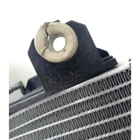 Radiador Água BMW Modelo S1000 RR Ano 2022 Original AVARIA