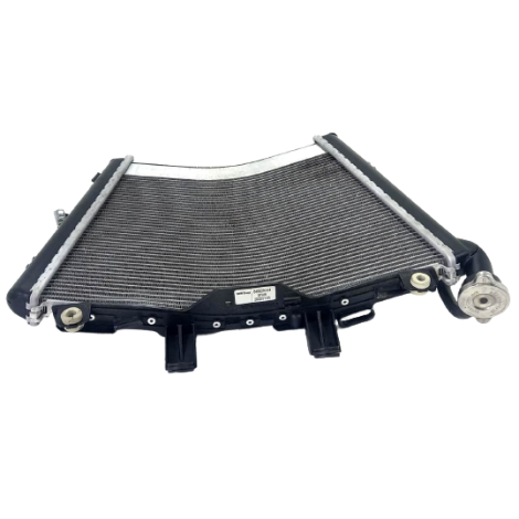 Radiador Água BMW Modelo S1000 RR Ano 2022 Original AVARIA