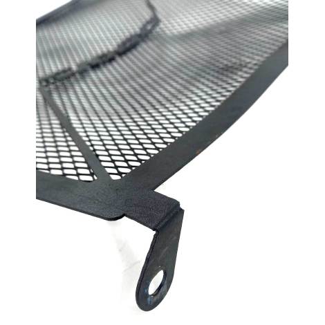 Grade Radiador Marca BMW Modelo S1000 RR Ano 2022 Original