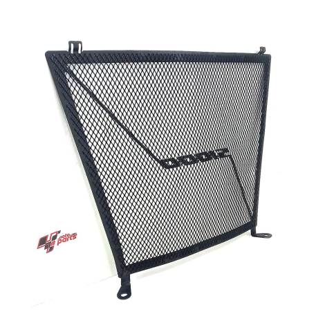 Grade Radiador Marca BMW Modelo S1000 RR Ano 2022 Original