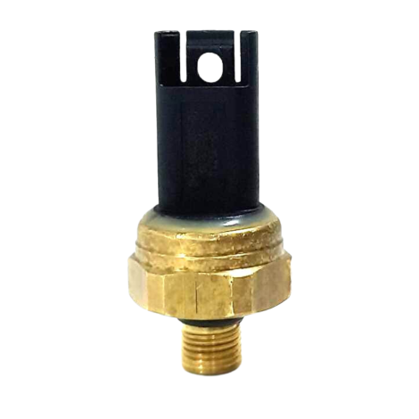 Sensor Pressão Combustível Bmw S1000 RR Ano 2022 Original