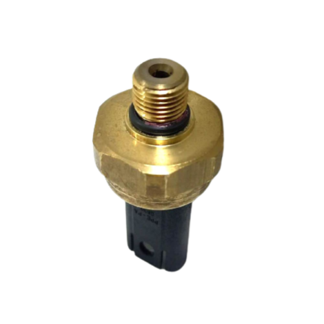 Sensor Pressão Combustível Bmw S1000 RR Ano 2022 Original