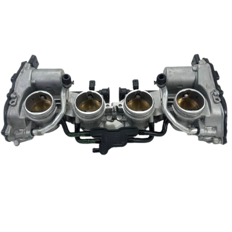 Corpo Injeção Marca BMW Modelo S1000 RR Ano 2022 Original