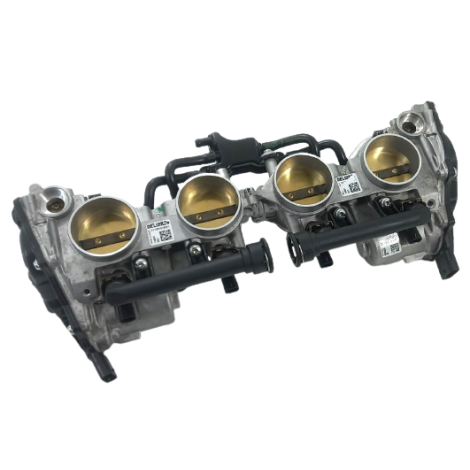 Corpo Injeção Marca BMW Modelo S1000 RR Ano 2022 Original