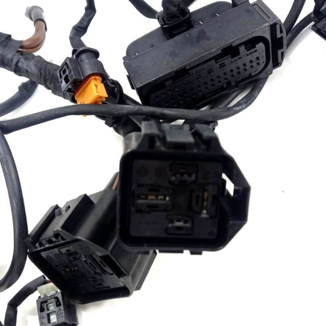 Chicote Principal Bmw S1000 Rr Ano 2022 Original AVARIA