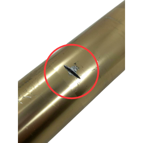 Bengala Esquerda Marca Bmw S1000 Rr Ano 2022 Original AVARIA