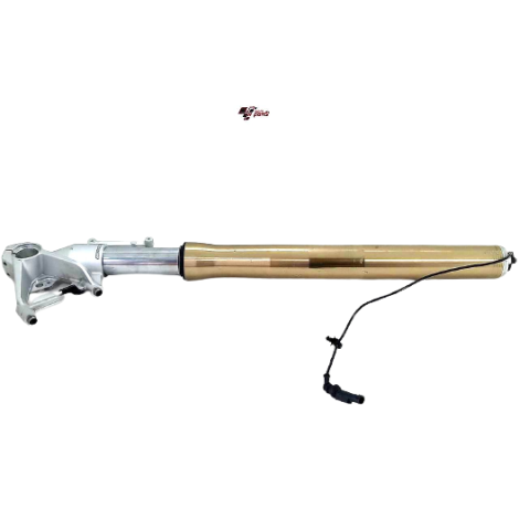 Bengala Esquerda Marca Bmw S1000 Rr Ano 2022 Original AVARIA