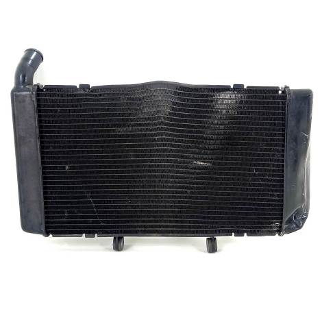 Radiador Água P/ Recuperar Honda Cbr 600 F Ano 2013 Original