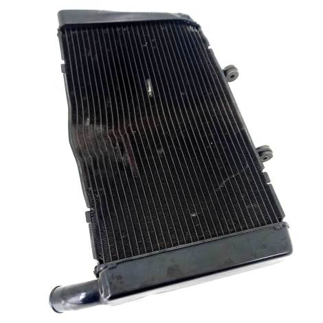 Radiador Água P/ Recuperar Honda Cbr 600 F Ano 2013 Original