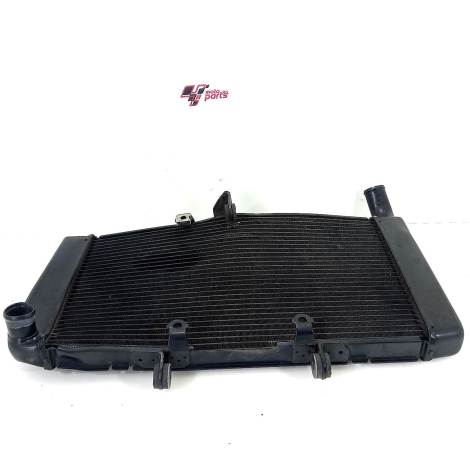 Radiador Água P/ Recuperar Honda Cbr 600 F Ano 2013 Original