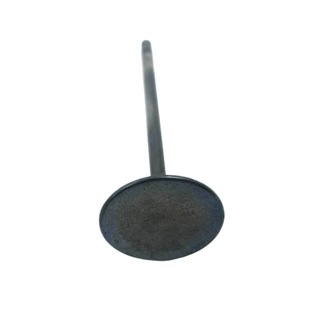 Válvula Admissão Honda Modelo Cbr 1000 RR Ano 2008 Original