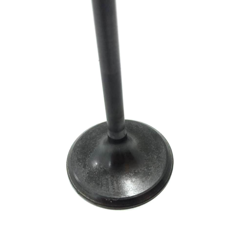 Válvula Admissão Honda Modelo Cbr 1000 RR Ano 2008 Original