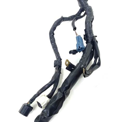 Chicote Principal ABS Honda CBR 600 F Ano 2013 Original