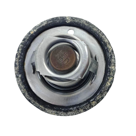 Válvula Termostática Marca Triumph Daytona 675 2014 Original