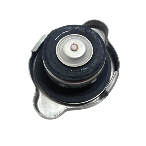 Tampa Radiador Triumph Modelo Daytona 675 Ano 2014 Original