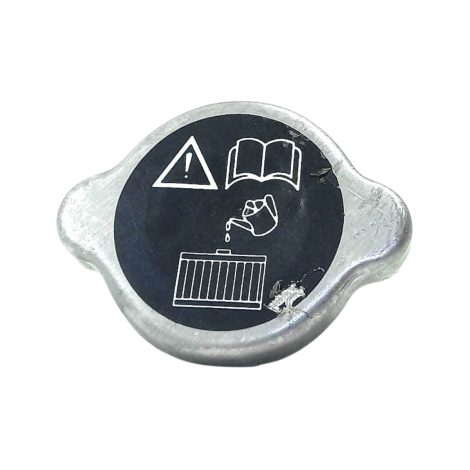 Tampa Radiador Triumph Modelo Daytona 675 Ano 2014 Original