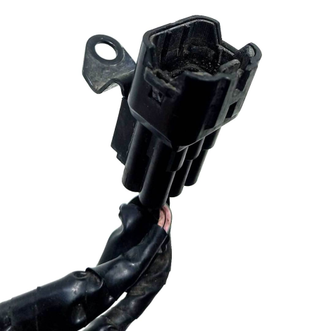 Chicote Motor Triumph Modelo Daytona 675 Ano 2014 Original