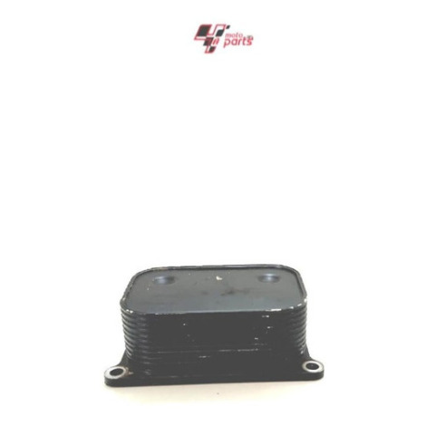 Resfriador Água E Óleo Bmw F800 Ano 2015 Original 20298-0