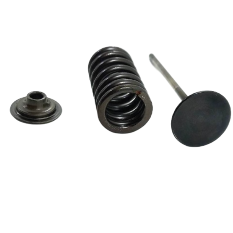 Conjunto De Manguera Do Radiador Bmw F800 Ano 2015 Original