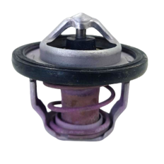Válvula Termostática Suzuki Modelo Srad 1000 2012 Original  