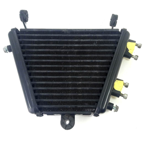 Radiador Óleo Suzuki Modelo Srad 1000 Ano 2012 Original