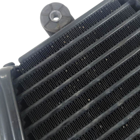 Radiador Óleo Suzuki Modelo Srad 1000 Ano 2012 Original