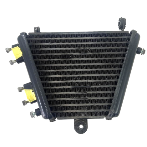 Radiador Óleo Suzuki Modelo Srad 1000 Ano 2012 Original