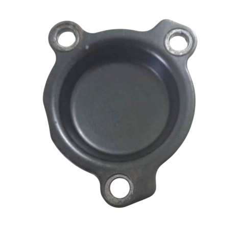 Tampa Bomba Óleo Motor Marca Bmw F800 Ano 2015 Original 