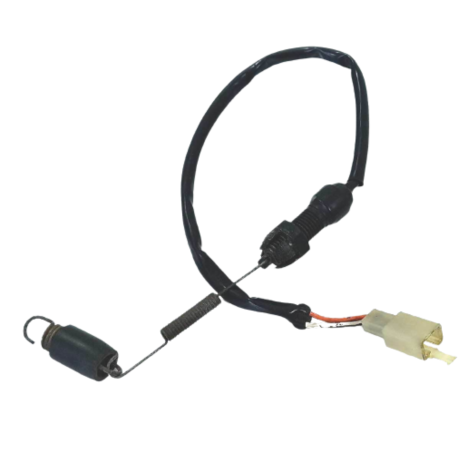 Interruptor Freio Traseiro Suzuki Srad 1000 Ano 2007 Origina