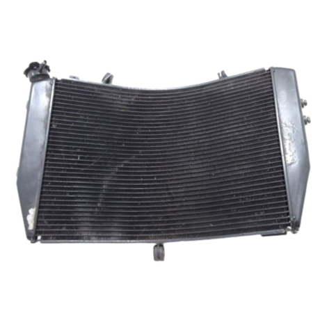 Radiador Água Marca Yamaha Modelo Yzf R1 Ano 2008 Original 