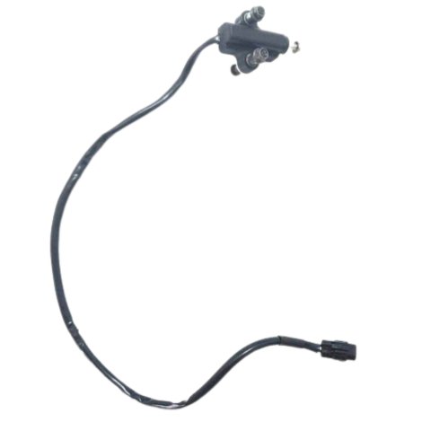 Sensor Pedal Descanso Marca Yamaha R1 Ano 2008 Original