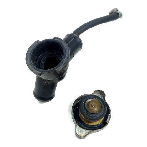 Bocal Radiador Marca Honda Cb 600F Hornet Ano 2009 Original