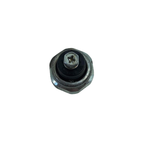 Sensor Cebolinha Óleo Kawasaki Modelo Z800 ABS 2014 Original