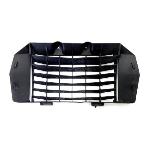 Grade Radiador Marca KTM Modelo Duke 390 Ano 2017 Original