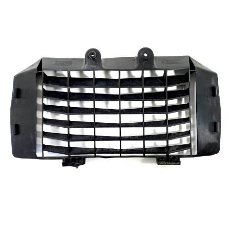 Grade Radiador Marca KTM Modelo Duke 390 Ano 2017 Original